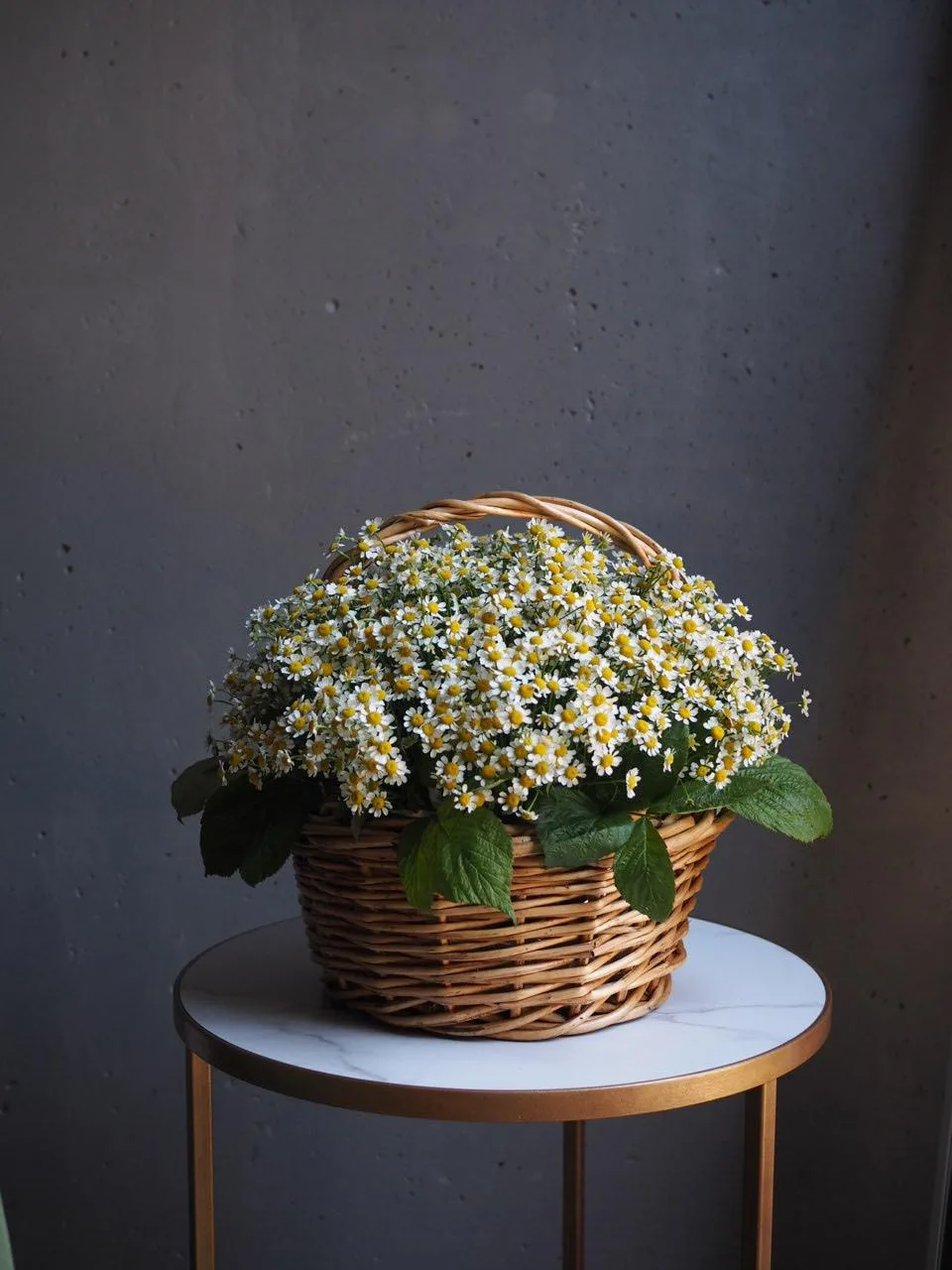 Корзинка кустовых ромашек
