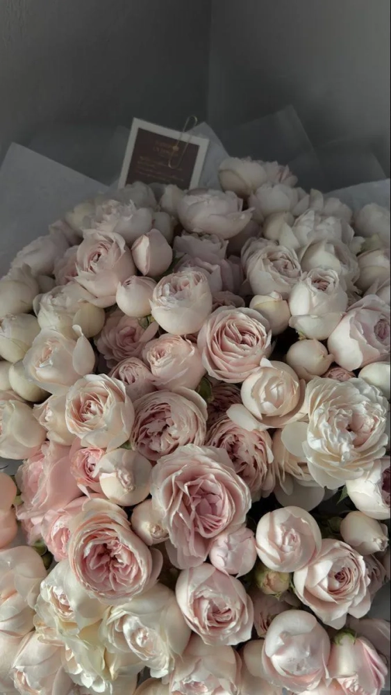 Свадьба Данила и Анастасии