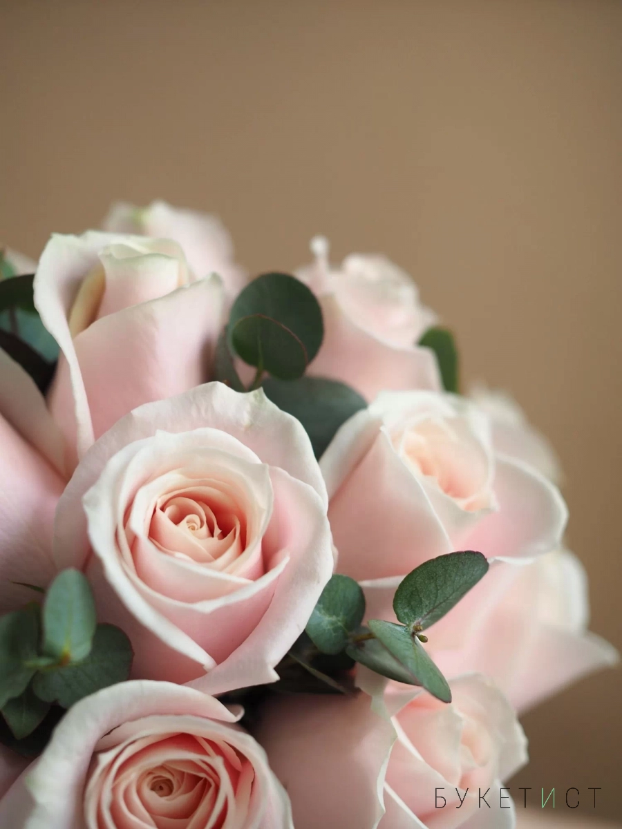 Букет невесты из нежных розовых роз и эвкалипта
