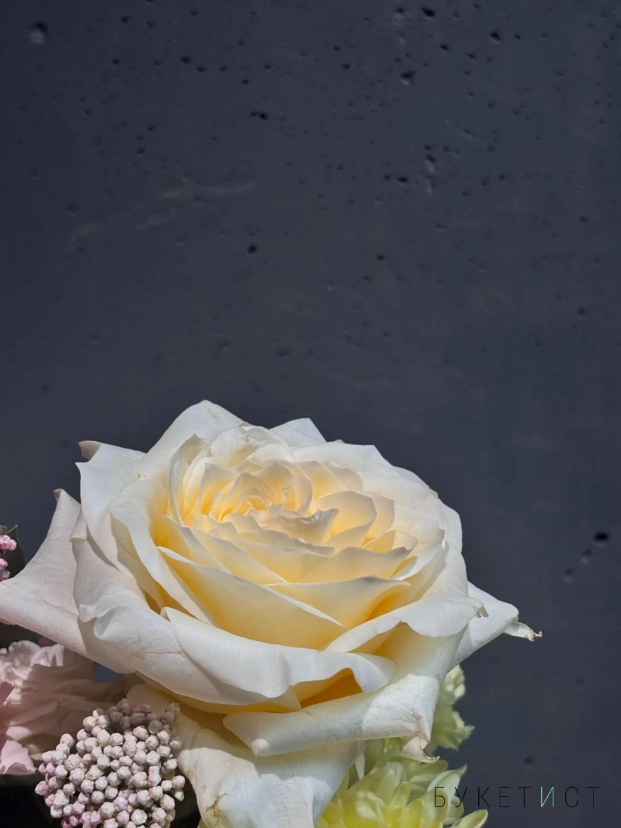 Композиция с нежными диантусами Композиция с нежными диантусами