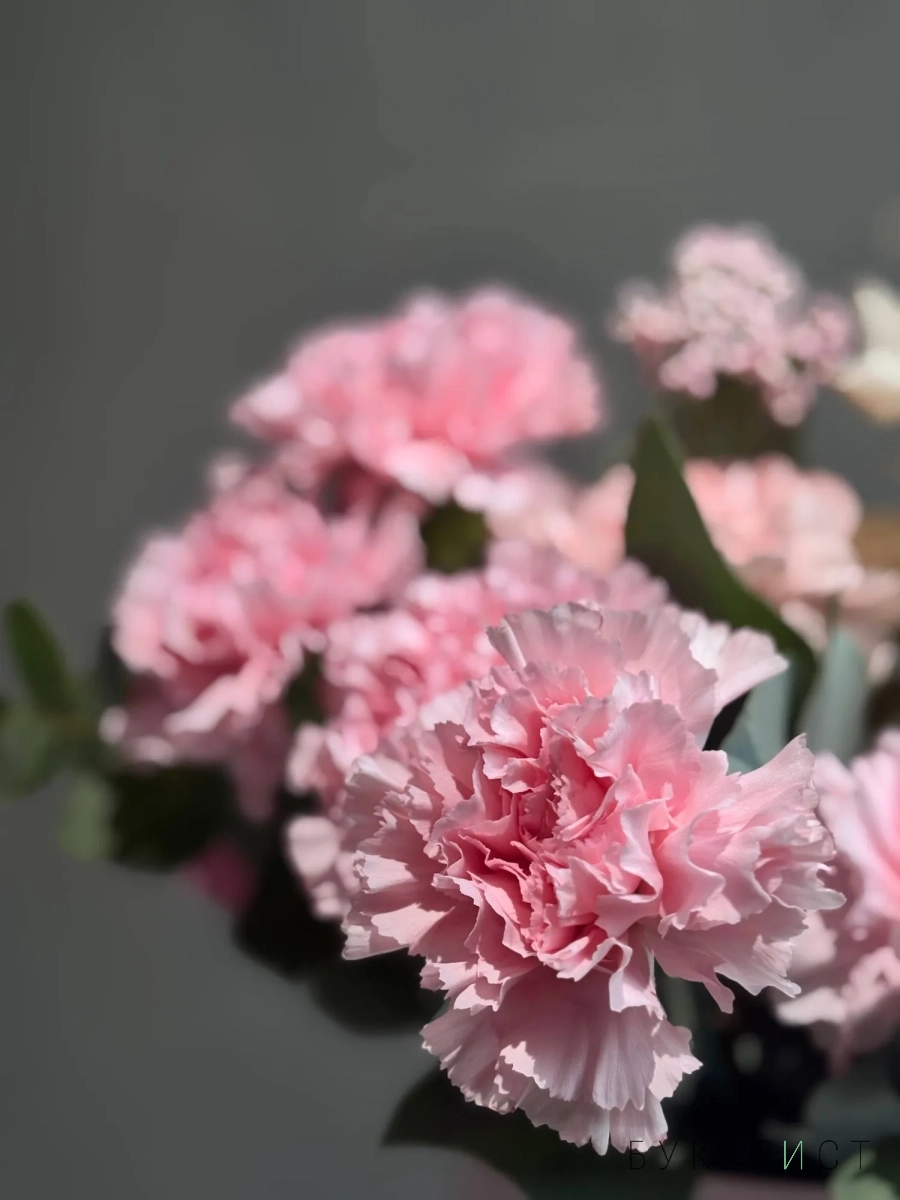 Композиция с нежными диантусами Композиция с нежными диантусами