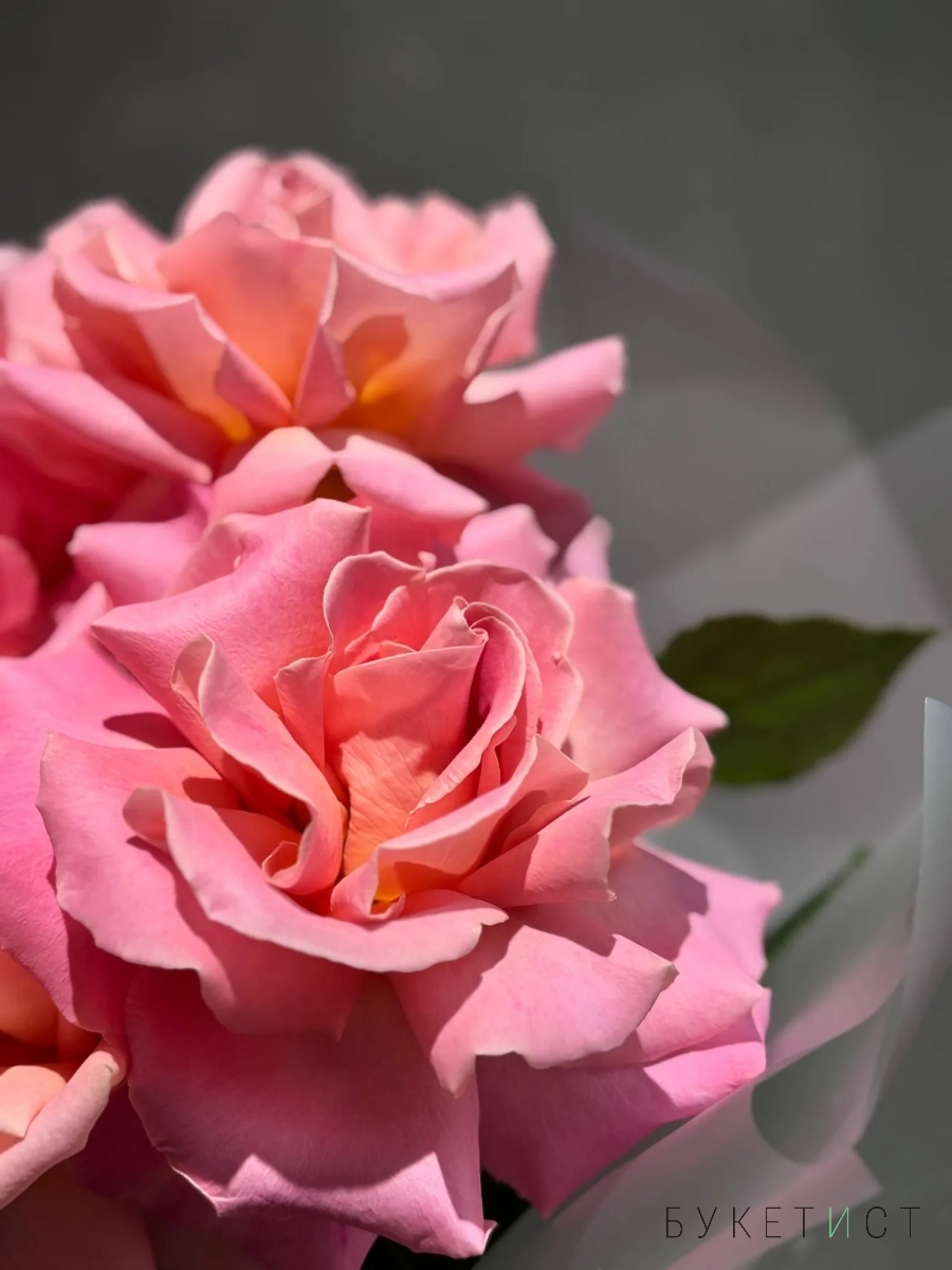 Эффектный букет из персиковых вывернутых роз Эффектный букет из персиковых вывернутых роз