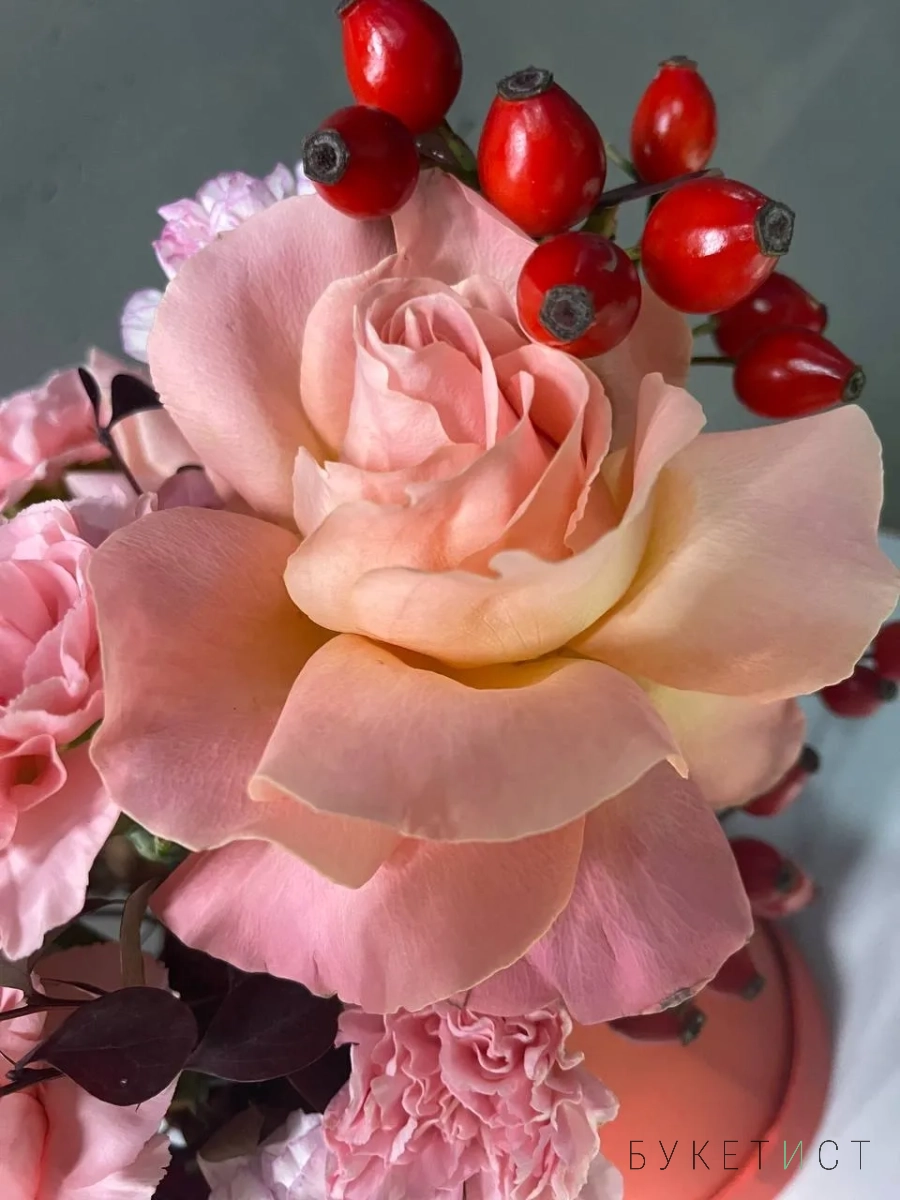 Яркая композиция в коробке с кустовыми диантусами и ягодами шиповника Яркая композиция в коробке с кустовыми диантусами и ягодами шиповника