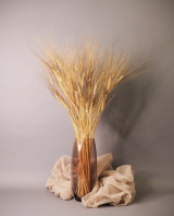 Интерьерная композиция с пшеницей в стеклянной вазе
