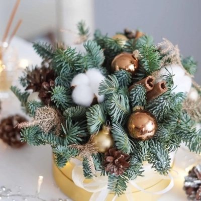 Композиция из живой ели с шишками и хлопком в золотой коробочке