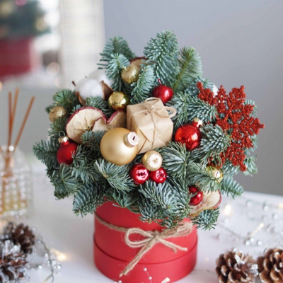 Праздничный новогодний букет из живой ели в красной коробочке