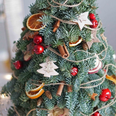Новогодняя натуральная ёлочка "Пряный апельсин" Новогодняя натуральная ёлочка "Пряный апельсин"