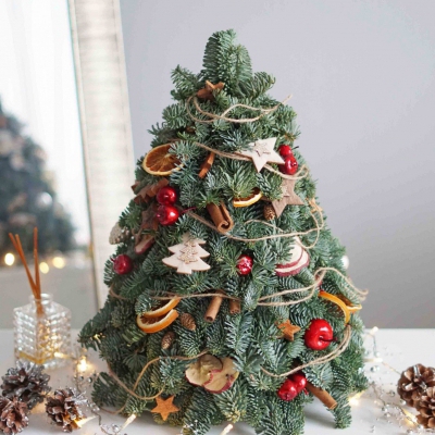 Новогодняя натуральная ёлочка "Пряный апельсин" Новогодняя натуральная ёлочка "Пряный апельсин"