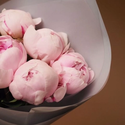 Букет нежно-розовых пионов сорта Сара Бернар 5 шт