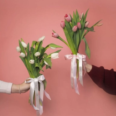 Букет тюльпанов под ленту от 30 шт