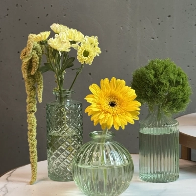 Сет из трех интерьерных ваз травяного цвета