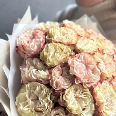 Букет кружевных роз сорта Country Candy