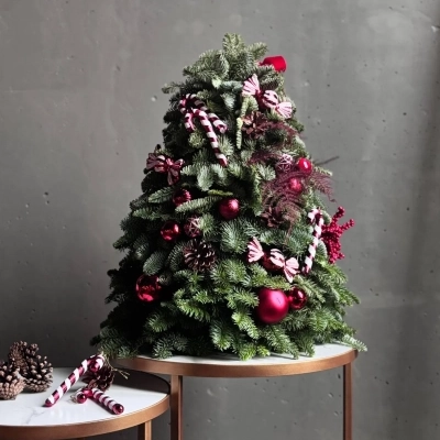 Новогодняя елочка из натуральной ели "Сладость" Новогодняя елочка из натуральной ели "Сладость"