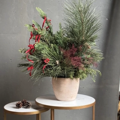 Новогодняя композиция в керамическом кашпо "Зимний шарм" Новогодняя композиция в керамическом кашпо "Зимний шарм"