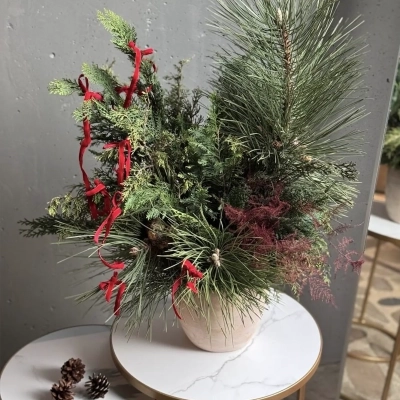 Новогодняя композиция в керамическом кашпо "Зимний шарм"