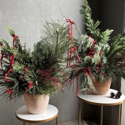 Сет новогодних композиций в керамических кашпо