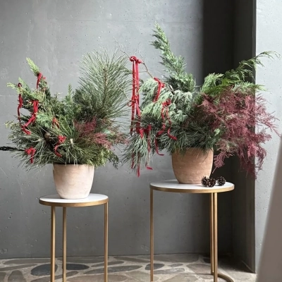 Сет новогодних композиций в керамических кашпо