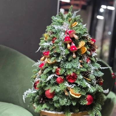 Новогодняя елка из хвои "Апельсинка" Новогодняя елка из хвои "Апельсинка"