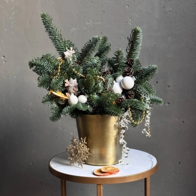 Еловая композиция в золотом кашпо "Ежик на коньках" Еловая композиция в золотом кашпо "Ежик на коньках"