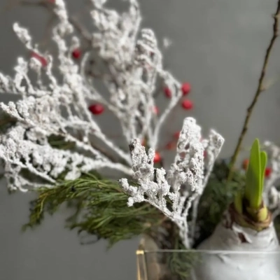 Новогодняя композиция с заснеженными ветками и луковицей амариллиса