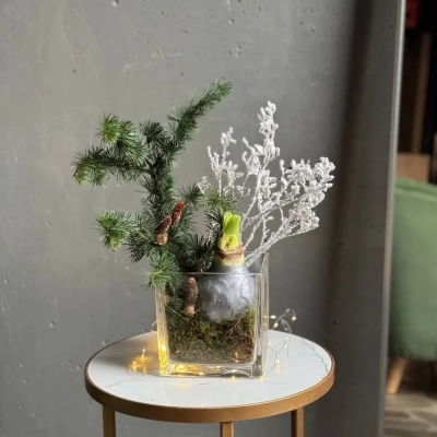 Композиция в квадратном кашпо с натуральными шишками и луковицей амариллиса