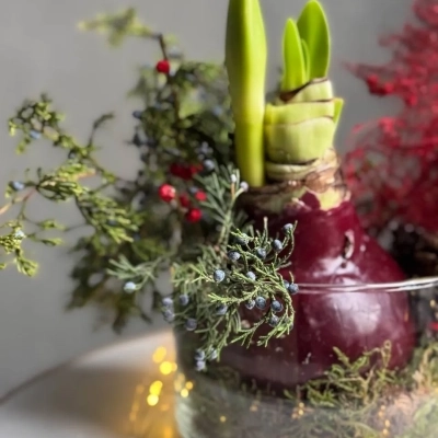Бордовая композиция с ягодами илекса и луковицей амариллиса
