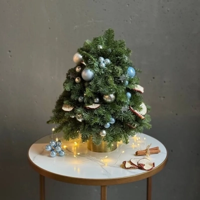 Настольная мини-ёлочка в горшочке "Звёздная" Настольная мини-ёлочка в горшочке "Звёздная"