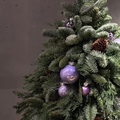 Новогодняя ёлочка на стол из живой ели "Лавандовые сны", 75 см Новогодняя ёлочка на стол из живой ели "Лавандовые сны", 75 см