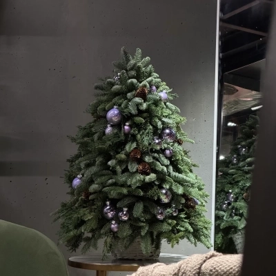 Новогодняя ёлочка на стол из живой ели "Лавандовые сны", 75 см