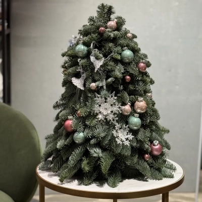 Новогодняя елочка из натуральной хвои "Балерина Большого театра" Новогодняя елочка из натуральной хвои "Балерина Большого театра"