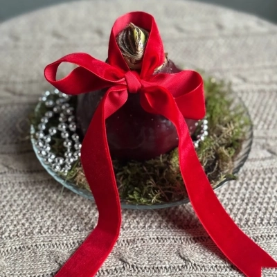 Композиция с луковицей амариллиса "Красный бархат"