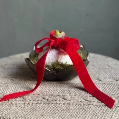 Композиция с луковицей амариллиса "Снежный барс"