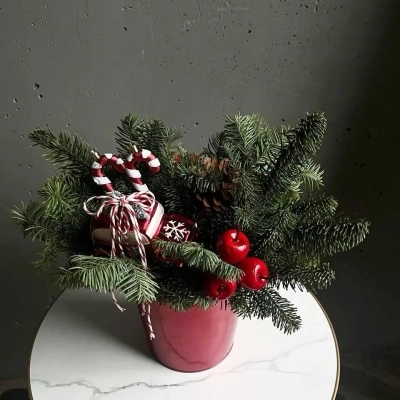 Рождественская композиция из живой ели