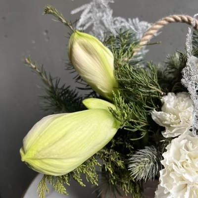 Композиция в ящике "Снежные ветра"