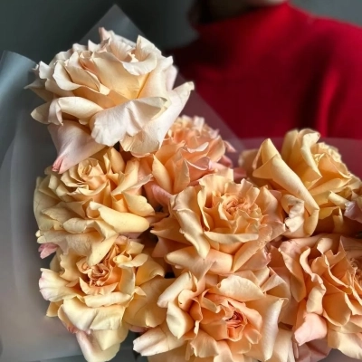 Эффектный букет из роз сорта Shimmer Эффектный букет из роз сорта Shimmer