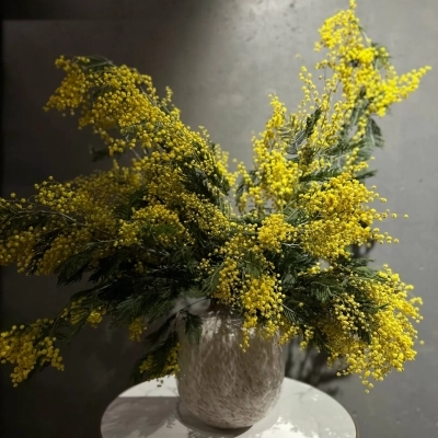 Охапка фермерской мимозы для декорирования интерьера Охапка фермерской мимозы для декорирования интерьера