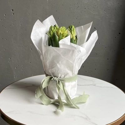 Гиацинты в луковице