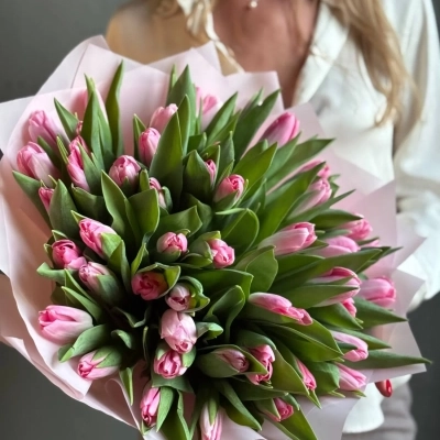 Букет розовых тюльпанов сорта Династия