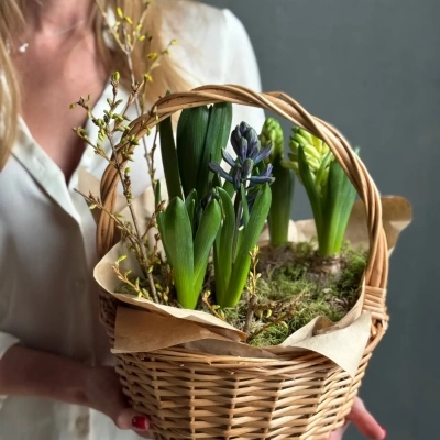 Композиция с первоцветами в корзине