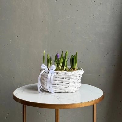 Весенняя композиция в корзине из луковиц первоцветов