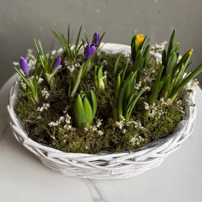 Композиция из первоцветов с веточками лимониума