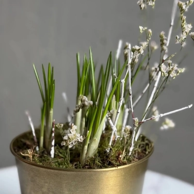 Луковичная композиция с крокусами и веточками лимониума