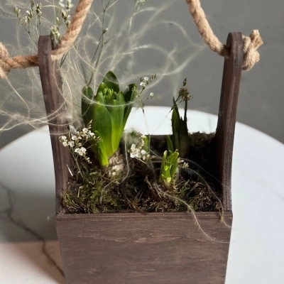 Ящичек с гиацинтом и нарциссами