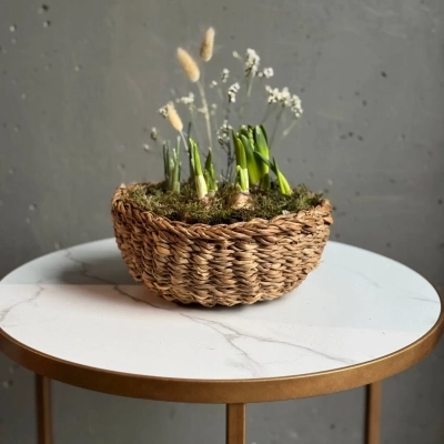 Композиция из первоцветов в плетенном кашпо с веточками лимониума Композиция из первоцветов в плетенном кашпо с веточками лимониума