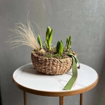 Композиция из гиацинтов и нарциссов в кашпо