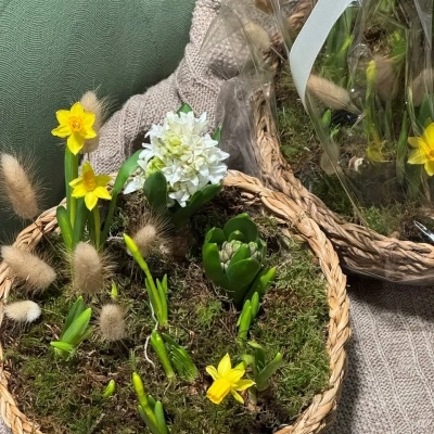 Гиацинты и нарциссы в плетеной корзине
