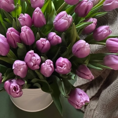 Охапка сиреневых тюльпанов в ведре