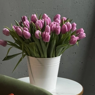 Охапка сиреневых тюльпанов в ведре