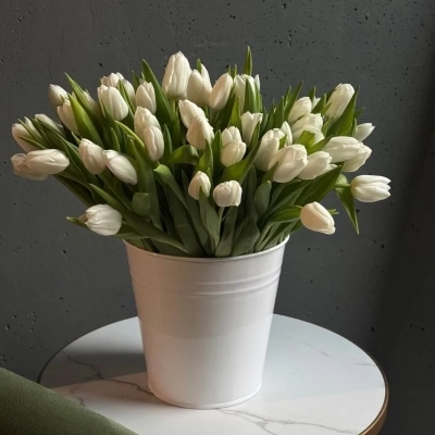 Охапка белых тюльпанов в ведре