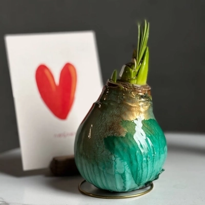 Луковица амариллиса в воске цвета бирюза Луковица амариллиса в воске цвета бирюза